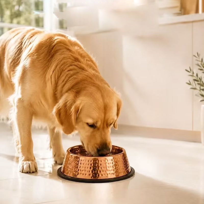 Rovenivo™ 99.9% Pure Copper Bowl for Dogs & Cats