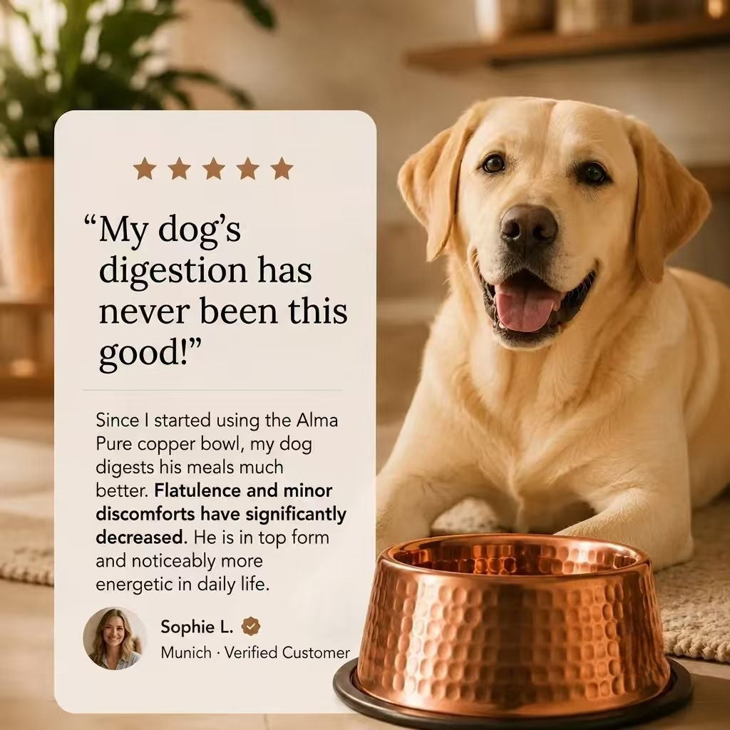Rovenivo™ 99.9% Pure Copper Bowl for Dogs & Cats