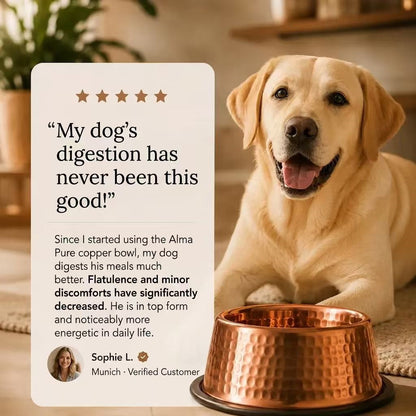 Rovenivo™ 99.9% Pure Copper Bowl for Dogs & Cats